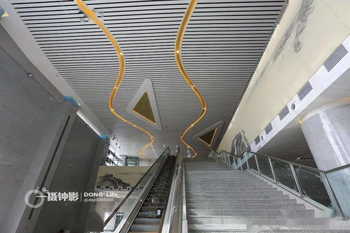 蒼南高鐵站充電樁銷(xiāo)售現(xiàn)場(chǎng)紀(jì)實(shí) 機(jī)動(dòng)車(chē)充電新趨勢(shì)初現(xiàn)