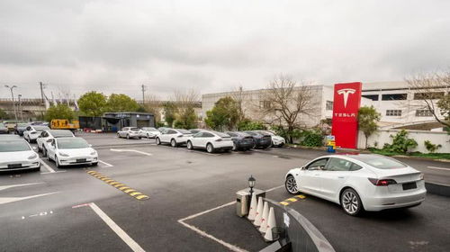 特斯拉2月國(guó)內(nèi)新能源車銷量3958輛奪魁，集中式快速充電站成行業(yè)新焦點(diǎn)